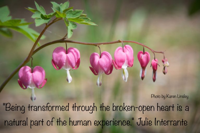 Is your heart broken, or broken-open?